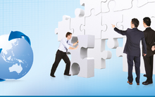 Vietnam Infrastructure chuyển quyền sở hữu toàn bộ 3,7 triệu cổ phiếu SJD