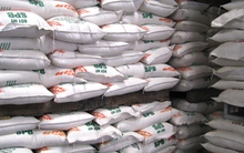 Nhiều mẫu thức ăn chăn nuôi vi phạm về chất cấm