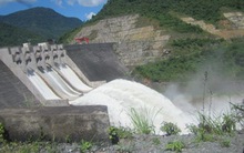 Đề xuất tăng phí dịch vụ môi trường rừng