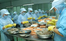 Tập đoàn Hoàng Long đang tiến hành chuyển nhượng cùng lúc mấy công ty con