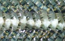 Ngành thủy sản thiệt hại nặng do dịch bệnh