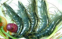 Chỉ có 7 cổ đông tham dự, ĐHCĐ lần 2 của VNH tiếp tục bất thành