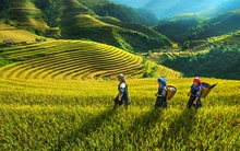 Đề xuất đầu tư nâng cấp sân bay Sơn La 1.000 tỷ đồng