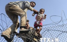 Palestine tuyên bố sẵn sàng tiếp nhận người tị nạn về quê