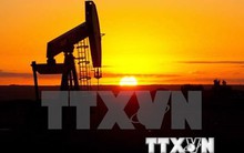 Mỹ: Số lượng giàn khoan dầu khí ngừng hoạt động tăng cao