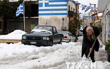 Các định chế tài chính lớn đối phó khả năng Hy Lạp rời Eurozone