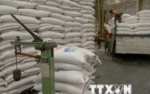 ASEAN+3 nhất trí tăng hợp tác trong lĩnh vực nông-lâm nghiệp