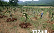 "Hà Tĩnh là nhân tố xây dựng nông thôn mới cần được nhân rộng"