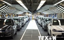 Hãng Volkswagen bắt đầu gian lận khí thải từ năm 2009