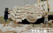 Thái Lan dự kiến sẽ xuất khẩu 10 triệu tấn gạo vào năm 2016