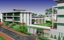 Cảng Rau quả (VGP): 9 tháng EPS đạt 4.756 đồng