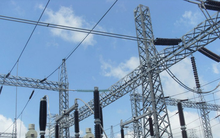 Công ty mẹ VNE: Không còn lỗ do thoái vốn, quý 2 lãi ròng 25 tỷ đồng