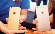 Nhà đầu tư Mỹ: Đến đầu tư ở Việt Nam đón cơ hội TPP