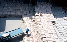 Xi măng Việt Nam: Vẫn tắc cửa ra