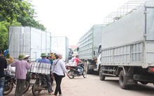 Cước phí làm khó trái cây xuất khẩu