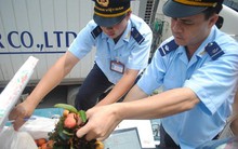 Bộ Kế hoạch và Đầu tư lý giải vênh số liệu xuất nhập khẩu Việt Nam-Trung Quốc