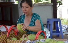 ​Triển khai cấp mã số cho vùng trồng xoài Cao Lãnh