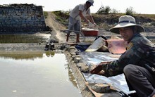 Giá rớt 1.000 đồng/kg, muối Sa Huỳnh vẫn vắng người mua