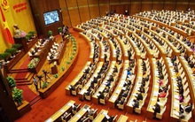 Nghị trường Việt Nam, một năm đặc biệt