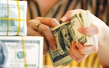 Tỷ giá USD/VND trước một thế giới đầy biến động