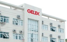 Gelex chuẩn bị phát hành tiếp 800 tỷ đồng trái phiếu kèm chứng quyền