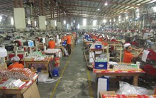 Bao bì Nhựa Tân Tiến (TTP) lên UPCOM sau hơn 1 năm hủy niêm yết trên HOSE