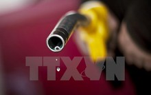 Tổng thống Venezuela đề xuất phương án ổn định giá dầu thế giới