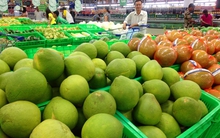 ĐBSCL: Bưởi da xanh tăng giá mạnh