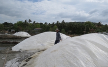 Đầu tư lớn, giá bán không hấp dẫn nên muối trải bạt khó nhân rộng