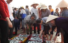 Cá bán giá bèo, ngư dân vẫn ngóng chính sách