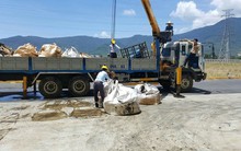 Đánh giá tác động môi trường của Formosa: Giật mình!