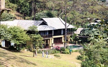 Đình chỉ Giám đốc Vườn Quốc gia Ba Vì nếu có dấu hiệu tham nhũng