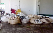 Vụ chôn chất thải của Formosa ở trang trại: 267 tấn chứ không phải 100 tấn