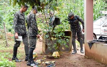 Tổ chức Y tế thế giới cảnh báo diễn biến virus Zika phức tạp hơn