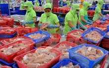 Thu hút đầu tư nông nghiệp: Bao giờ ra khỏi vòng luẩn quẩn?