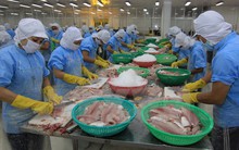 Doanh nghiệp Việt ký hàng loạt thỏa thuận đầu tư với đối tác Mỹ