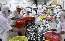 Nhiều loại phí, lệ phí nông nghiệp sẽ chuyển sang cơ chế giá