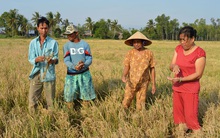 Gấp rút quy hoạch nguồn nước ở ĐBSCL