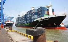 Cước thấp kỷ lục, doanh nghiệp vận tải biển gặp khó