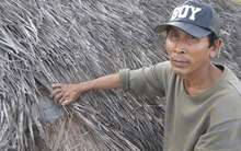 Diêm dân quay lưng với muối