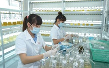 Ngành tôm đối mặt nguy cơ mới