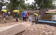 Tranh nhau mua lúa gạo