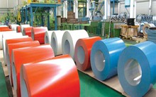 Kiến nghị sớm áp thuế tự vệ tôn mạ màu