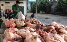 Bộ trưởng NN&PTNT: Tôi thấm thía nỗi đau thực phẩm bẩn gây ra