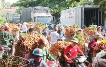 Thúc đẩy xuất ngoại, trái cây cần vượt rào cản