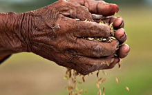 Tăng mức đóng BHXH: Lo bữa nay chưa xong, đã phải lo bữa cho 20 năm tới