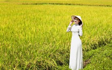 Không phải phân bón hay thuốc bảo vệ thực vật, đây mới thực sự là mảng kinh doanh lãi nhất trong chuỗi nông nghiệp