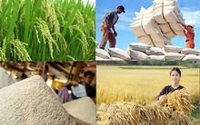 Tìm cách giữ thị trường cho gạo Việt
