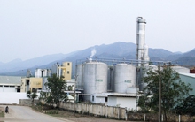 Dân chưa tin vào nhà máy xăng sinh học