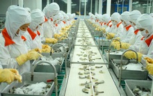 Thủy sản - chuyển hướng từ vùng nuôi